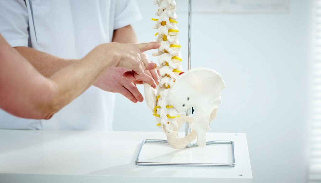 subluxació vertebral i quiropractica