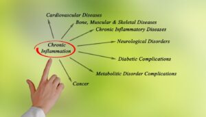 The importance of diet to reduce chronic inflammation